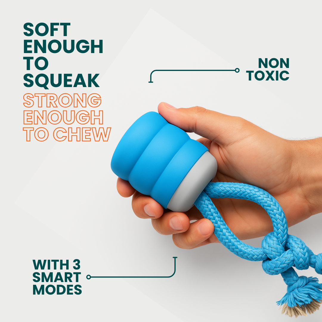 💥 65% OFF — The Dog Boredom-Stimulating Toy (Limited-Time Deal!)