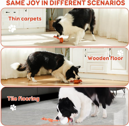 🐶The MOONBIFFY™ – Keep Your Pet Relaxed, Happy & Content 🐾