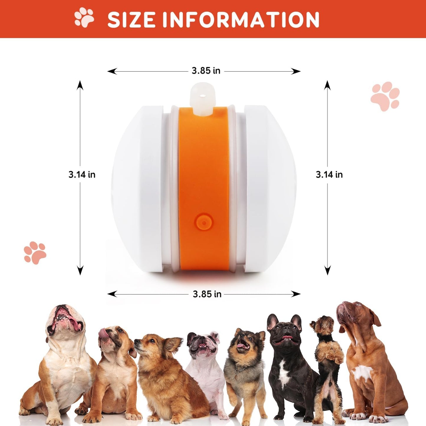 🐶The MOONBIFFY™ – Keep Your Pet Relaxed, Happy & Content 🐾