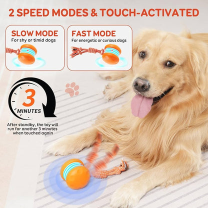 🐶The MOONBIFFY™ – Keep Your Pet Relaxed, Happy & Content 🐾