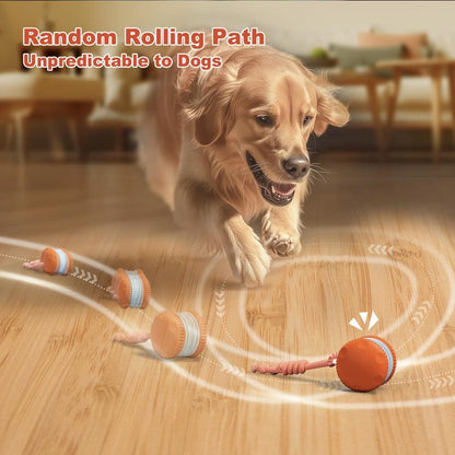 🐶The MOONBIFFY™ – Keep Your Pet Relaxed, Happy & Content 🐾